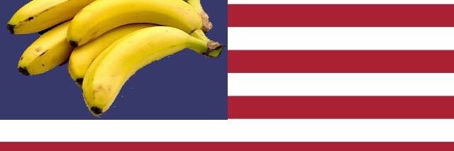 downinit13's profile banner image