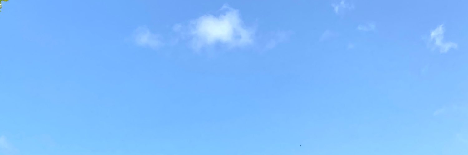 21Paaola's profile banner image