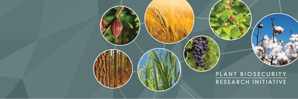 PBRI_Australia Profile Banner