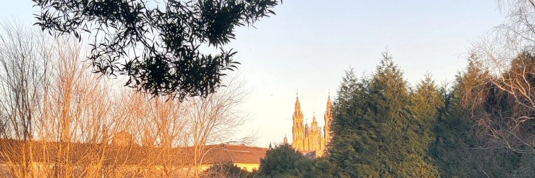 Claudio__Louro's profile banner image