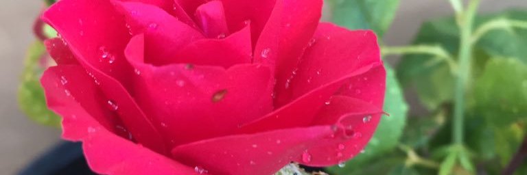 Bdora_200's profile banner image