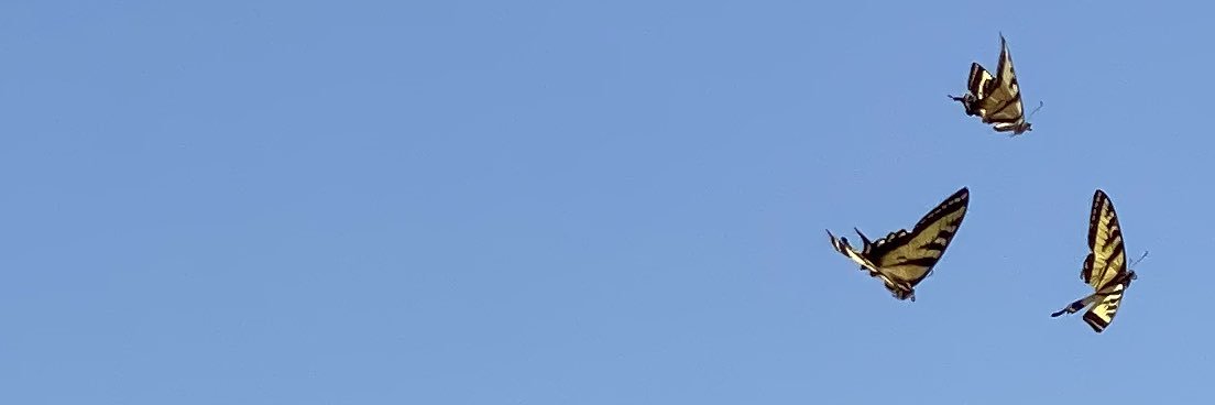 DPR4DAME's profile banner image
