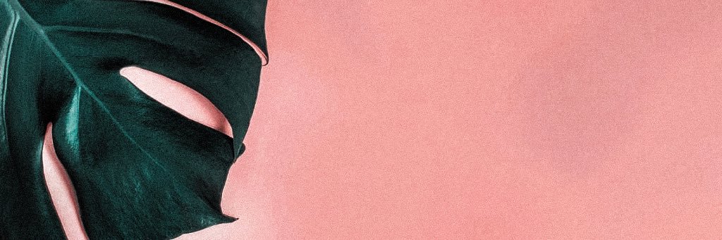 zachysan's profile banner image
