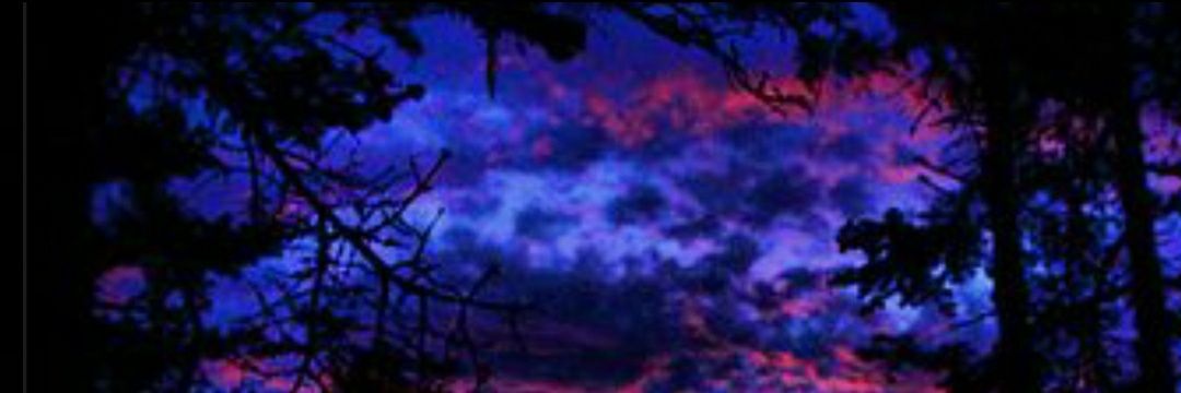 traswa1968's profile banner image