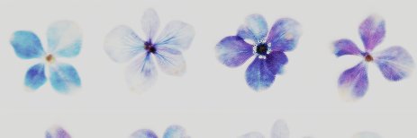 larryysvodka's profile banner image
