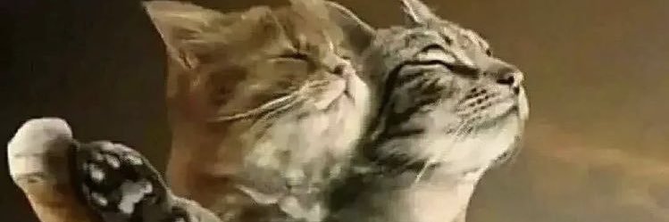 bellmuttzz's profile banner image