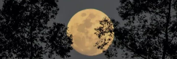 hamna__24's profile banner image
