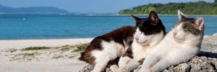 Red | ETHGas ⛽ banner