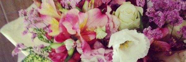 Purplefield15 Profile Banner