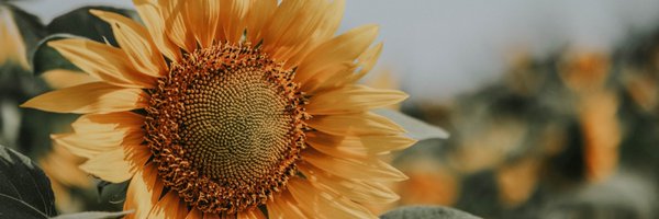 JoeRetener Profile Banner