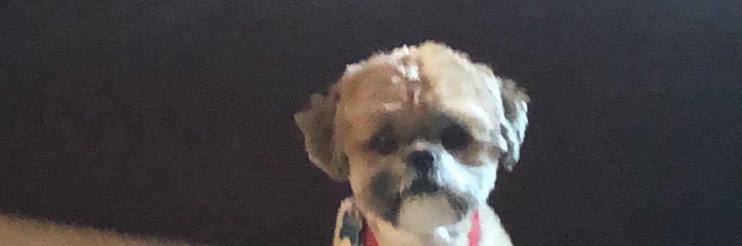ryannderson12's profile banner image