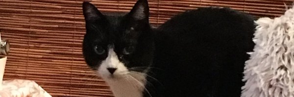 LongSea Profile Banner