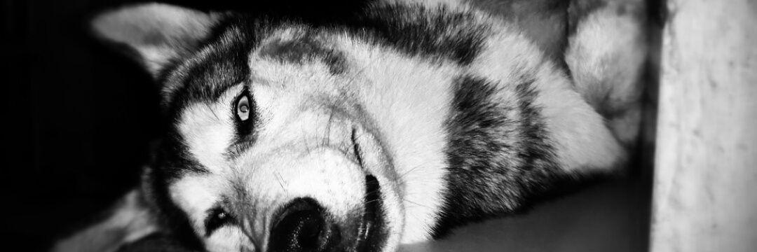 Ruth_R2M's profile banner image
