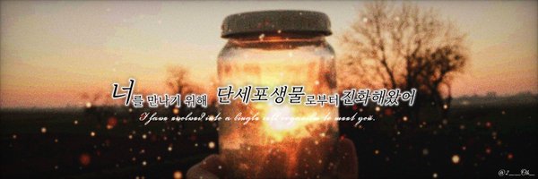 N0C7U1D43 Profile Banner