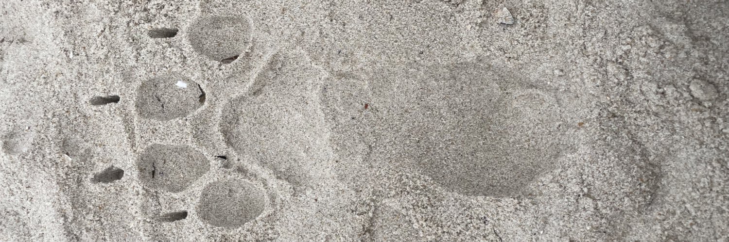 Ajax Pibble HAS MOVED 🟦☁️ banner