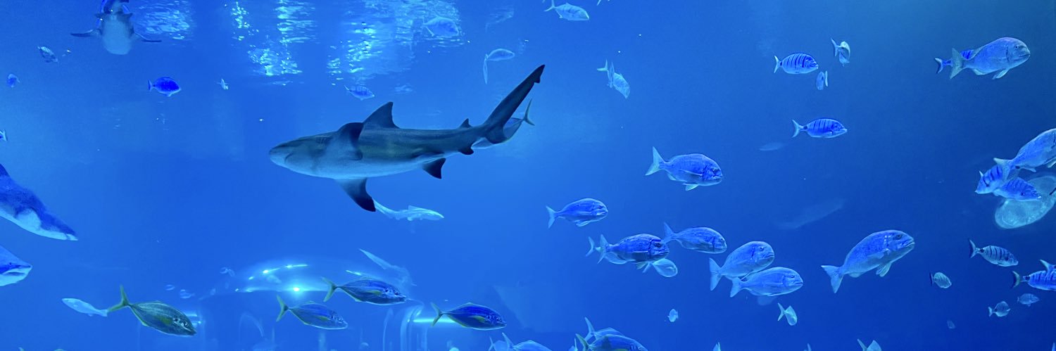 kilonpoliisit 🇫🇮🎗️🇪🇺 banner