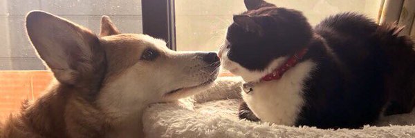 hide_pixel Profile Banner