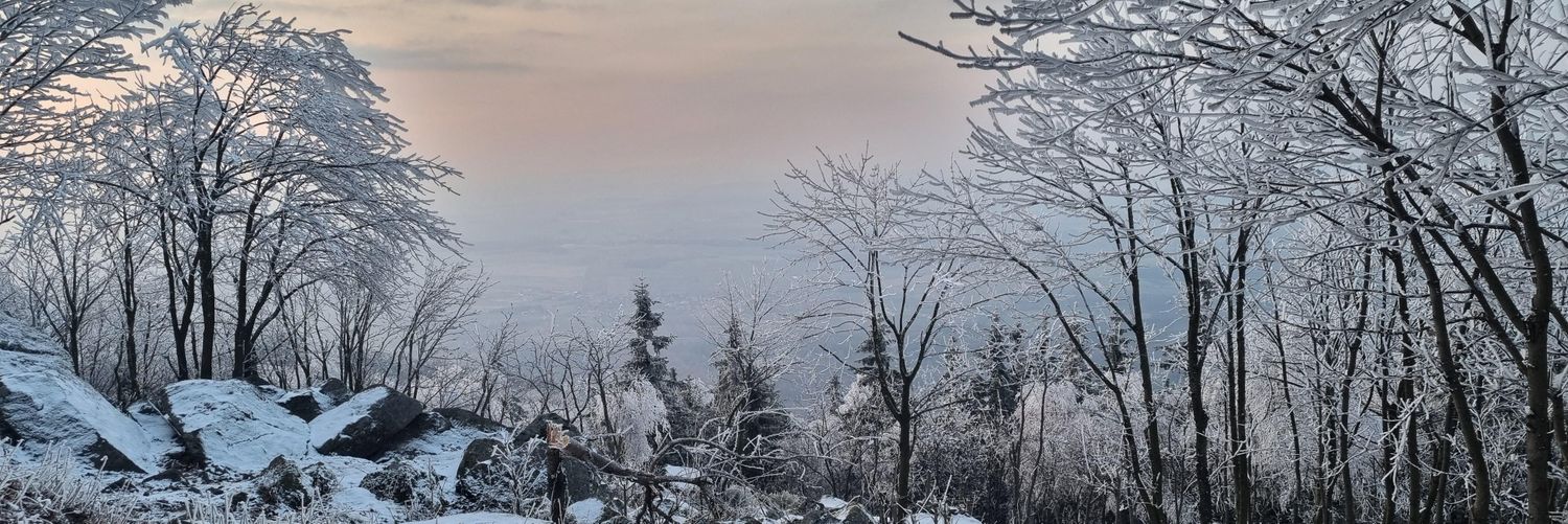 OnLineAngielski's profile banner image