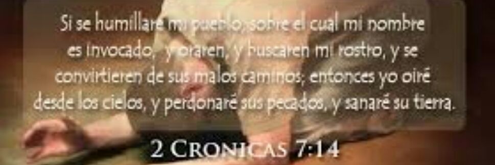 venezolana y punto! banner