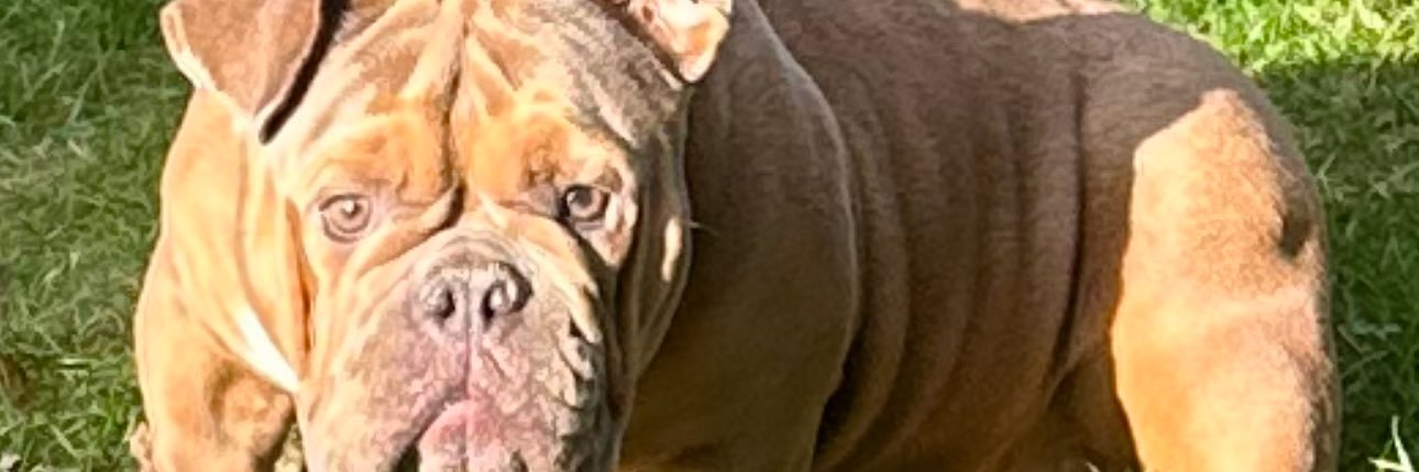 fffresca's profile banner image