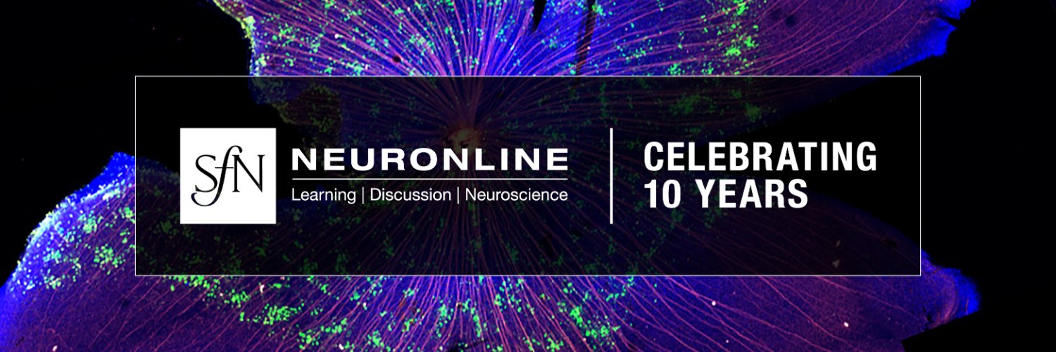 Neuronline 🧠🔬's banner