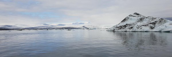 filpavanello Profile Banner