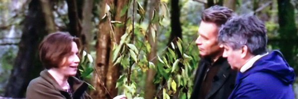 WTBridget Profile Banner