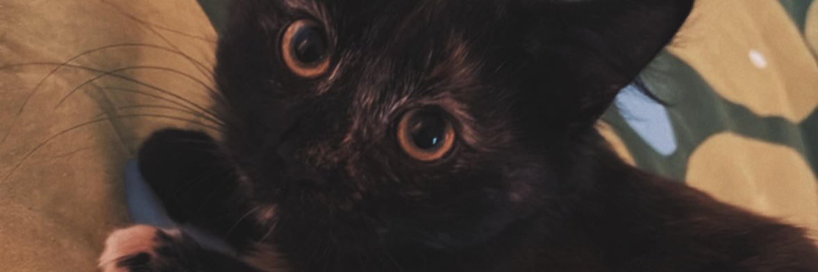 MathisWindycity's profile banner image