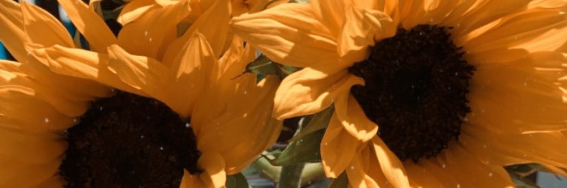 DanaMarieDeee's profile banner image