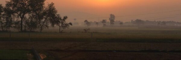 apooopie Profile Banner