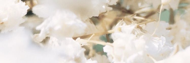 si banner