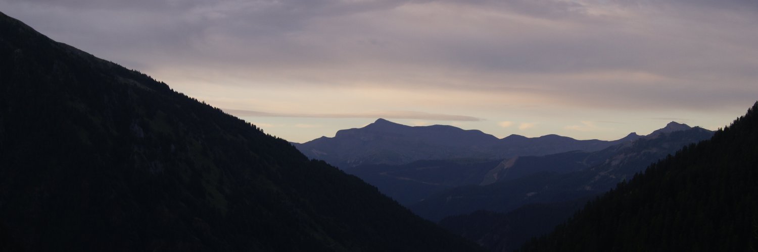 dangalletti's profile banner image