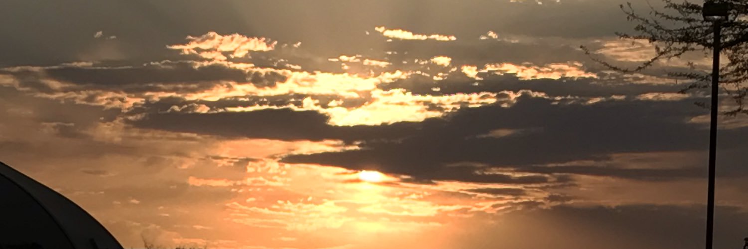 Stephen Slavick banner