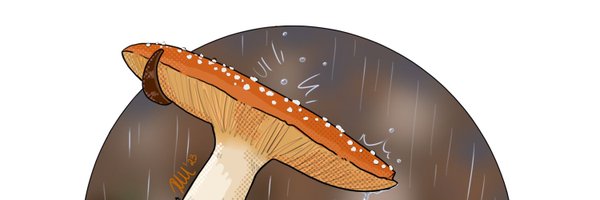 RitaIsa3 Profile Banner
