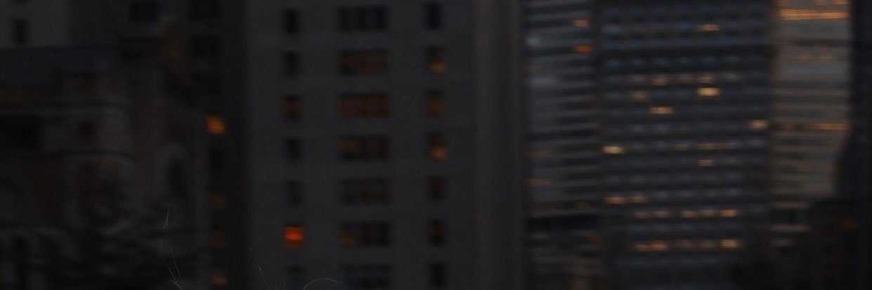 bibi 🇧🇷 banner