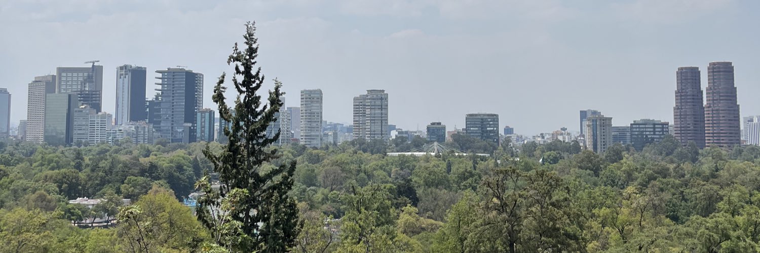 valdiviez banner