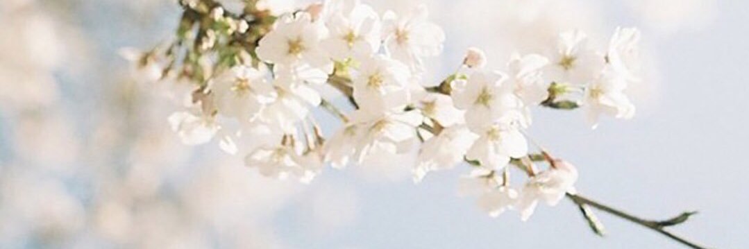 Pure_heart ☕️ banner