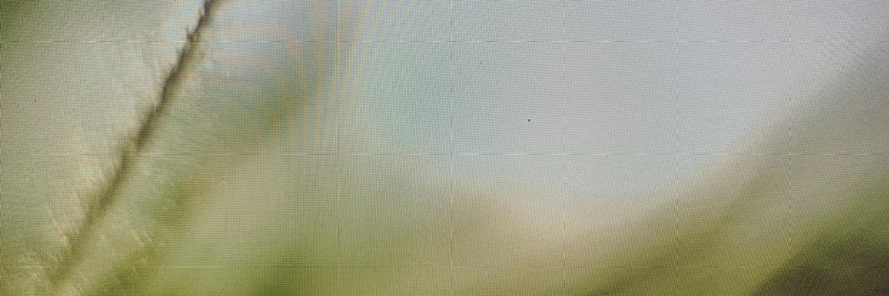 JeriAvila13's profile banner image