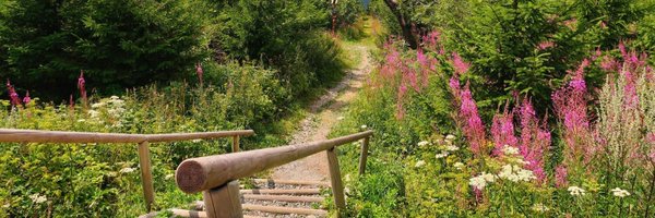 empseb31 Profile Banner