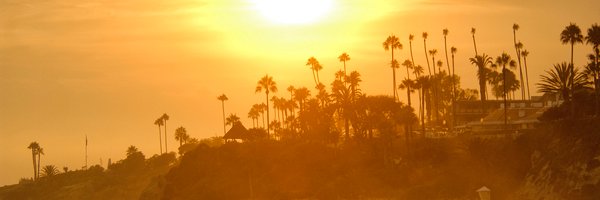 cbeteta's profile banner image