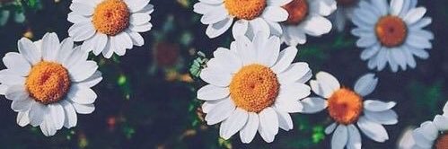 PilyGonzalezz's profile banner image