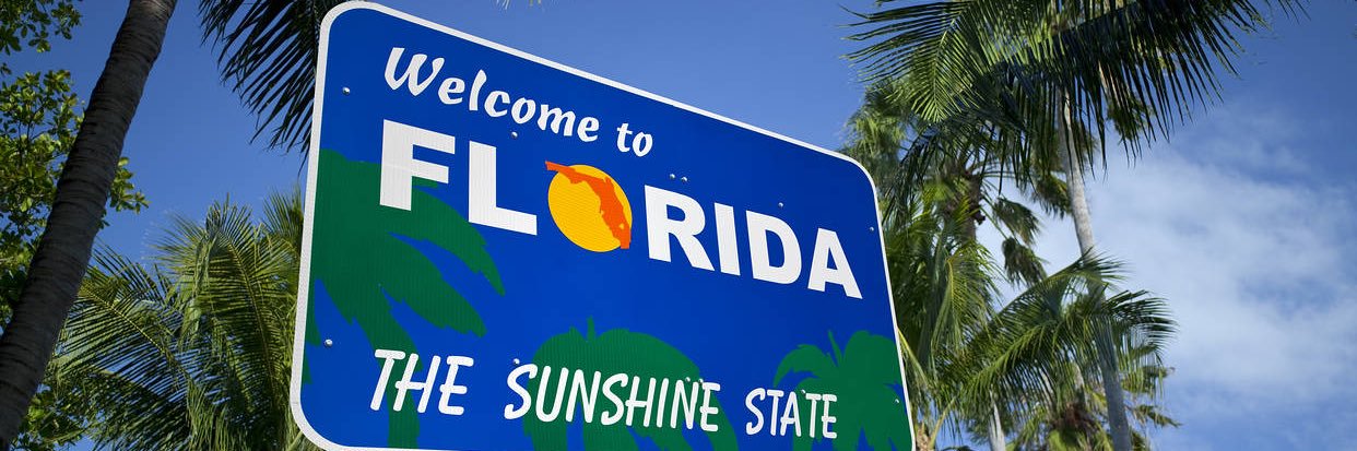 239 First Down 🏝🏈 banner