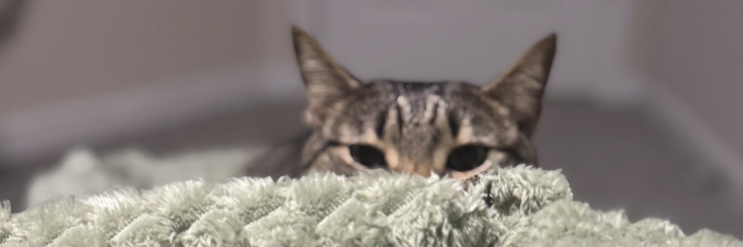 PhilabusterB98's profile banner image