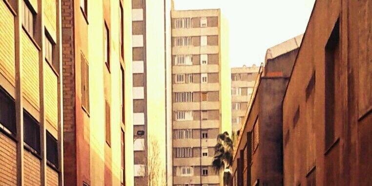 xnavarrete10's profile banner image
