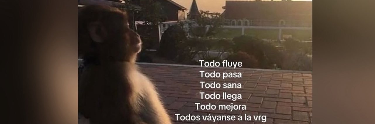 ✨Maferhada🧚🏻‍♂️ banner
