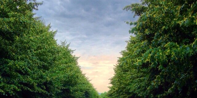 Alharrasi83's profile banner image