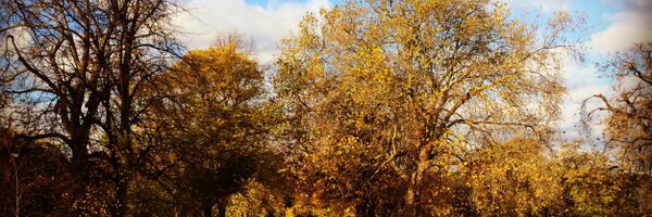 GhaffAl Profile Banner