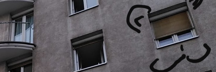 hayt's profile banner image
