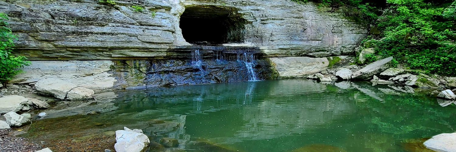 𝓒𝓱𝓻𝓲𝓼 𝓹𝓪𝓵𝓶𝓮𝓻 banner