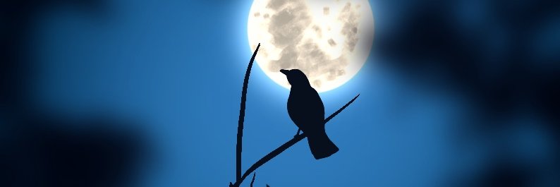 pickdeath's profile banner image
